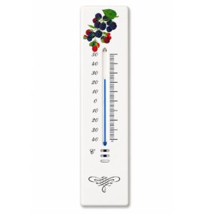 Teploměry 24 Teploměr email kovový 21 cm s motivem ovoce 922