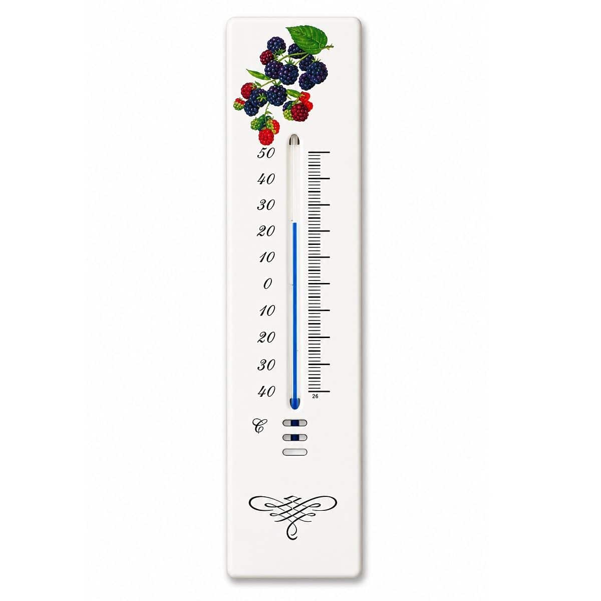 Teploměr email kovový 21 cm s motivem ovoce 922 1 Teploměr email kovový 21 cm s motivem ovoce 922